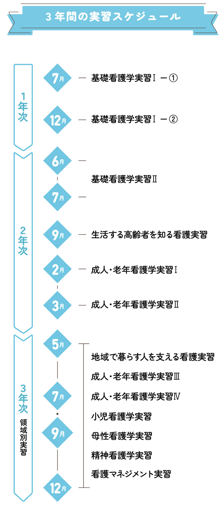 3年間の実習スケジュール